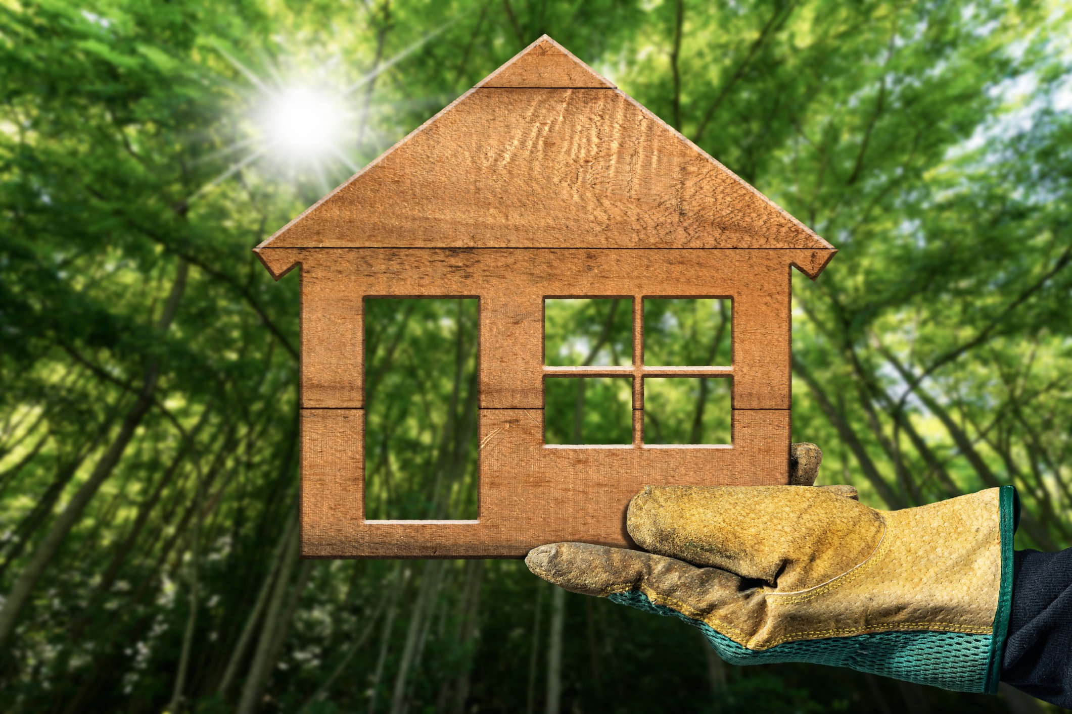 Eco-Friendly Ways To Completely Renovate Your Home
